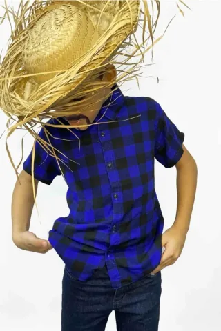 Imagem 1
