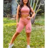 Conjunto Laiza Top E Bermuda Fitness Liso